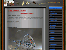 Tablet Screenshot of coleopteresdugabon.jeanlou.fr